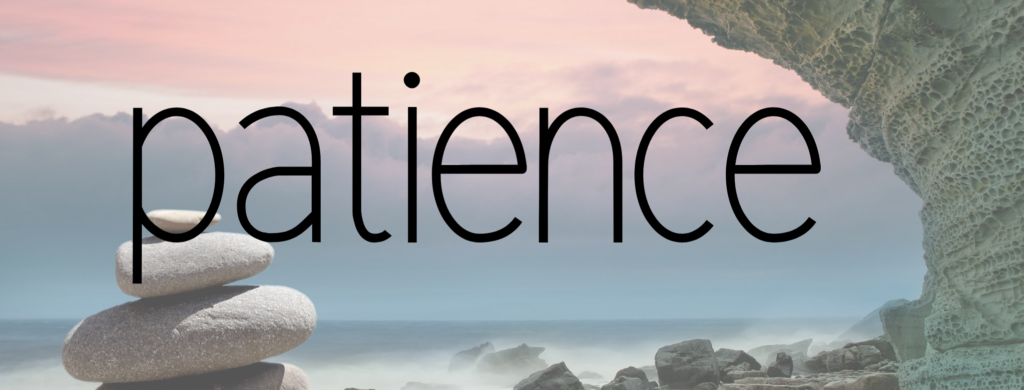 word of the year patience