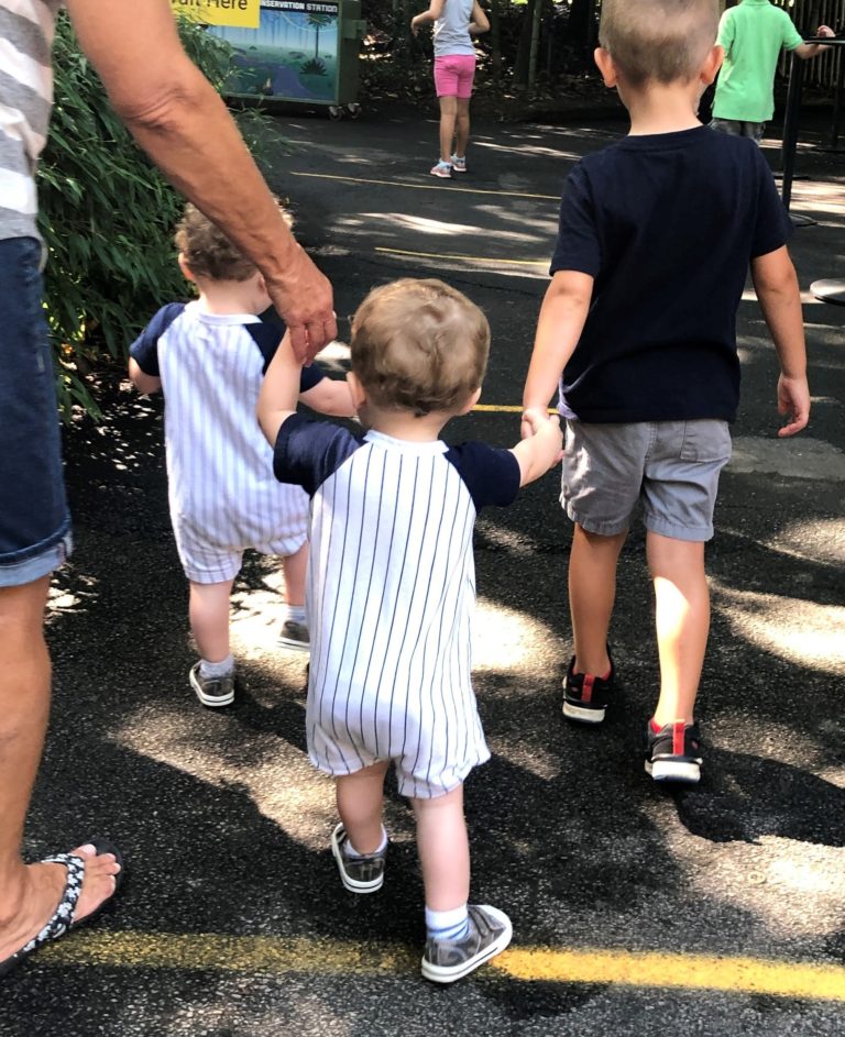 boys walking at the zoo